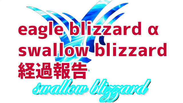 swallow blizzard